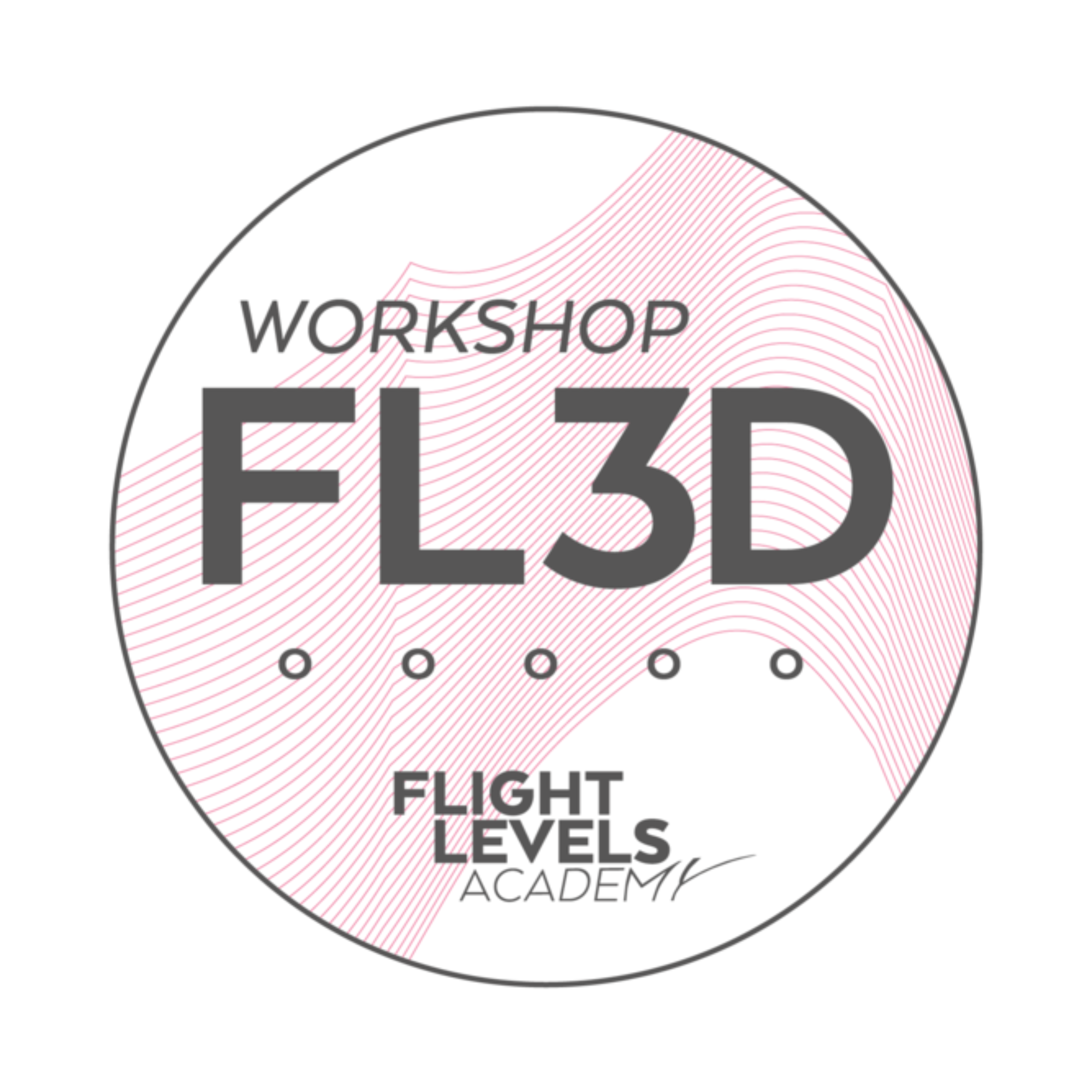 Flight Level 3 Design Badge der Flight Levels Academy